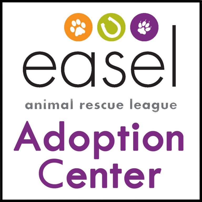 Events EASEL Animal Rescue League & Pet Adoptions