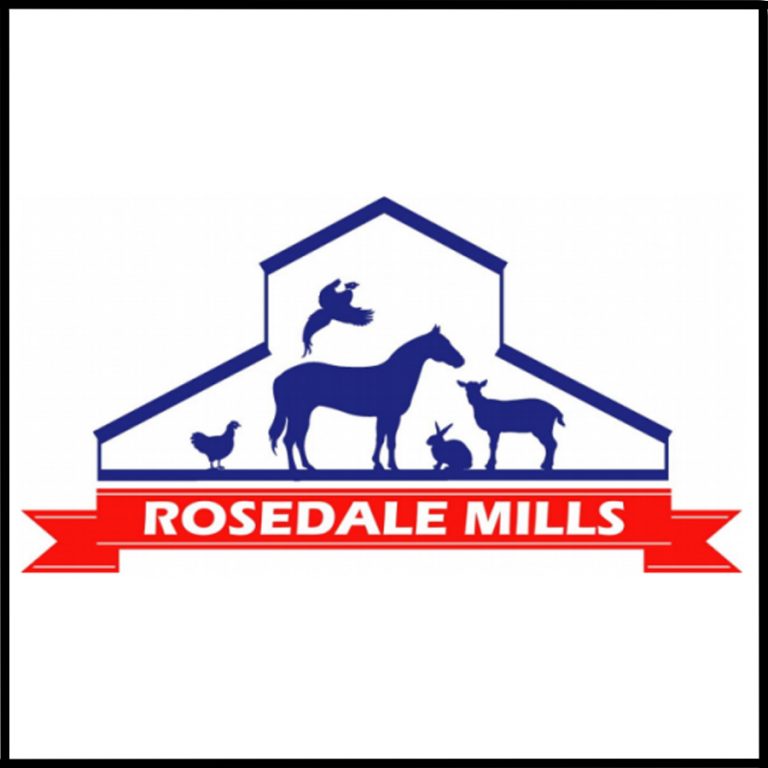 Events EASEL Animal Rescue League & Pet Adoptions