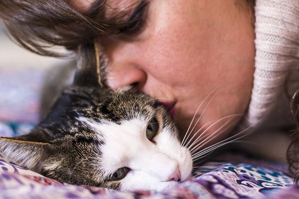 Foster mom and shelter kitten. Fostering a pet helps make them more adoptable and saves a life too!