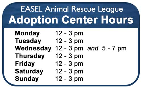 Adoption Center Hours at EASEL Animal Rescue League Shelter