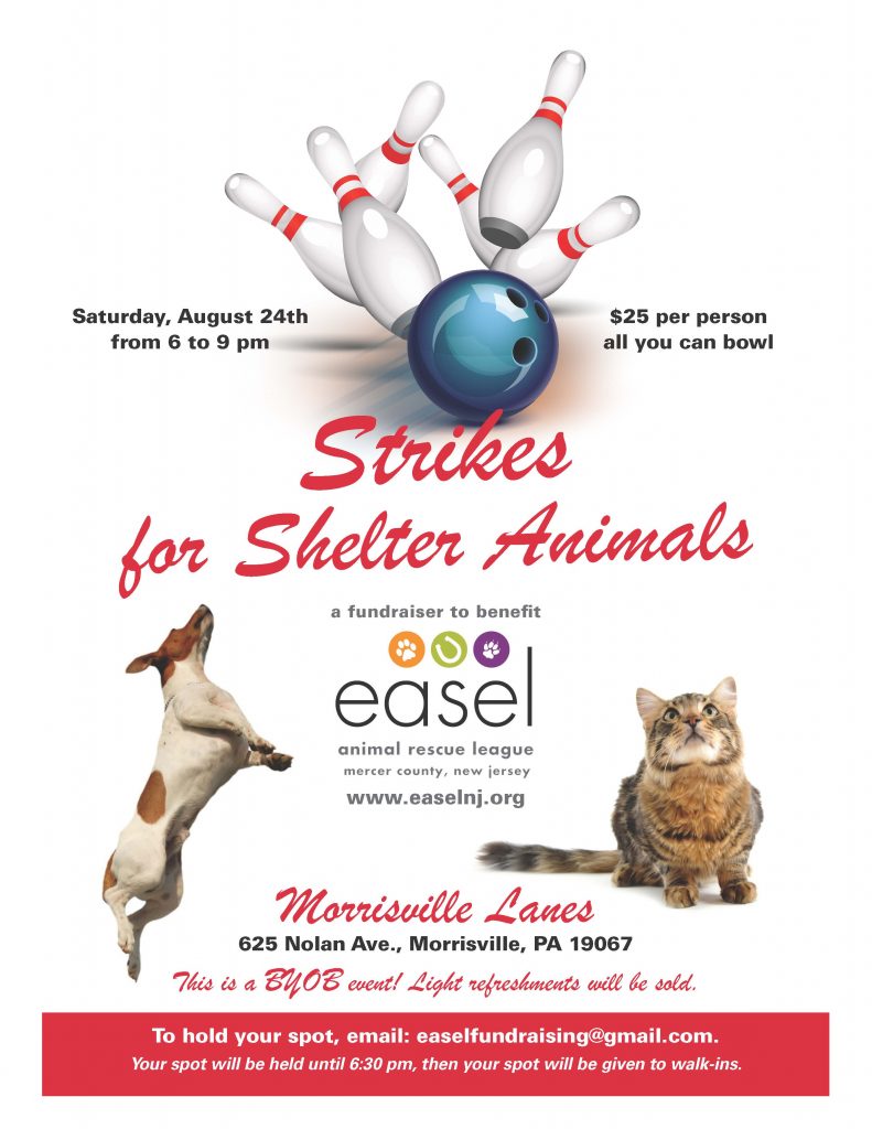 Strikes for Shelter Pets EASEL Animal Rescue League & Pet Adoptions