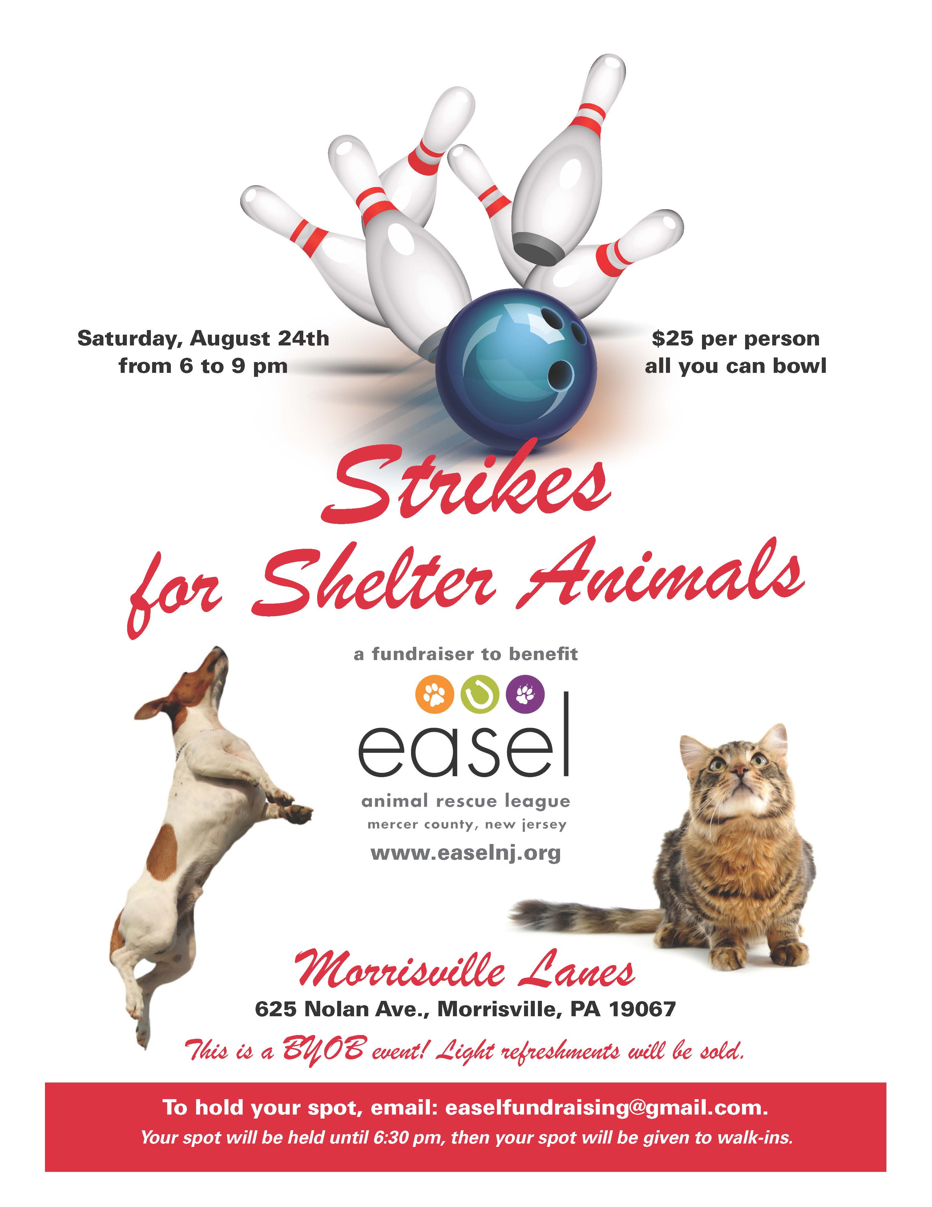 Strikes for Shelter Pets | EASEL Animal Rescue League & Pet Adoptions Strikes for Shelter Pets | EASEL Animal Rescue League & Pet Adoptions