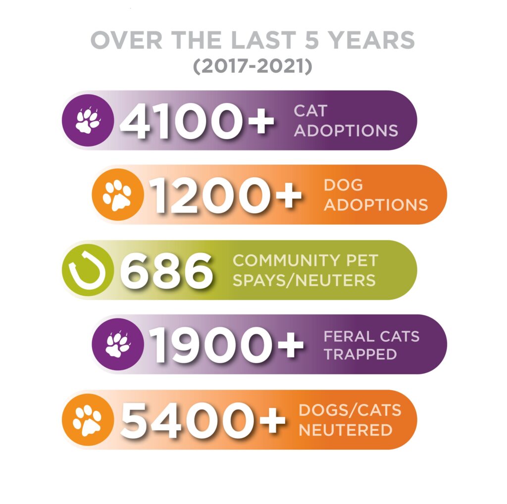 Measuring Our Success EASEL Animal Rescue League & Pet Adoptions