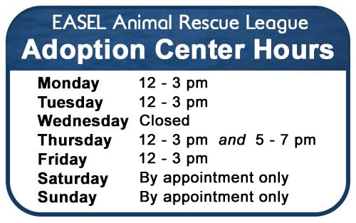 Adoption Center Hours at EASEL Animal Rescue League Shelter