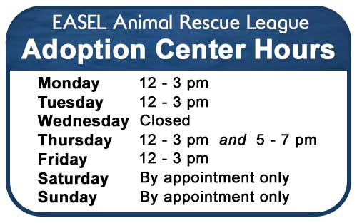 adoption-hours Adoption Center Hours at EASEL Animal Rescue League Shelter