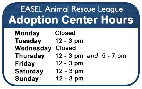 Adoption Center Hours at EASEL Animal Rescue League Shelter